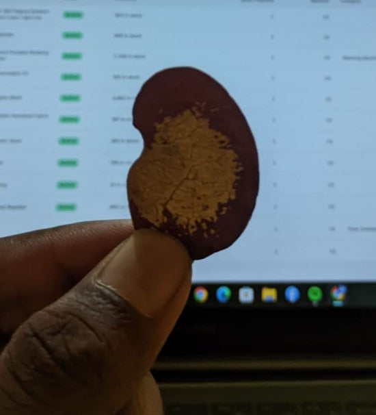 Forest Flame Wellness Seeds