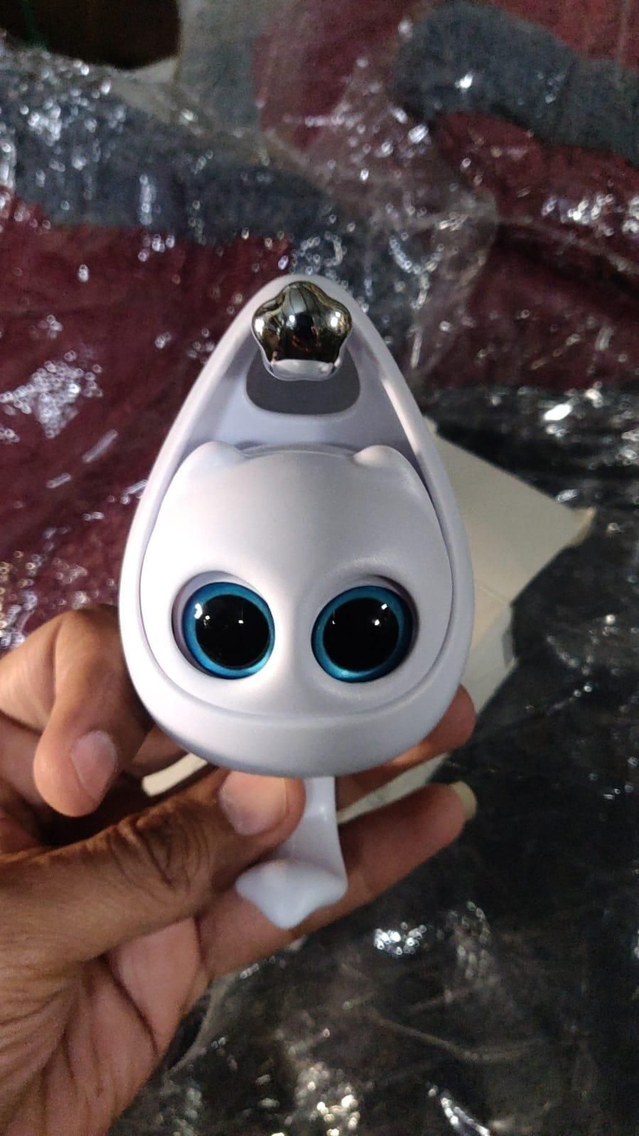 Cute Wall Key Holder