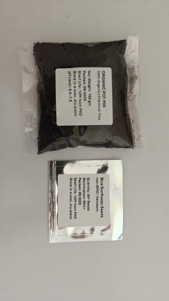 Blue Flame Sunflower Seeds