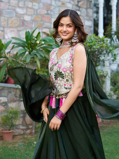 Special Designer Lehenga Choli